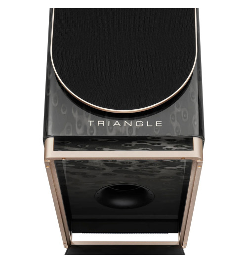 Triangle Capella - Aktywne kolumny podstawkowe z Bluetooth 5.0 aptX, Wi-Fi, WiSA + Stereo HUB