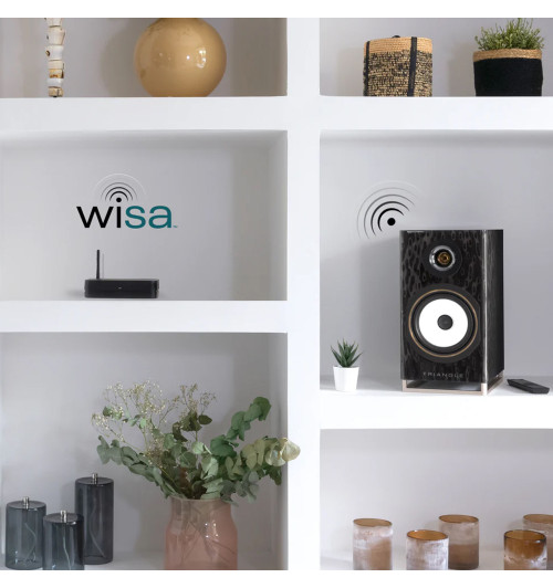 Triangle Capella - Aktywne kolumny podstawkowe z Bluetooth 5.0 aptX, Wi-Fi, WiSA + Stereo HUB