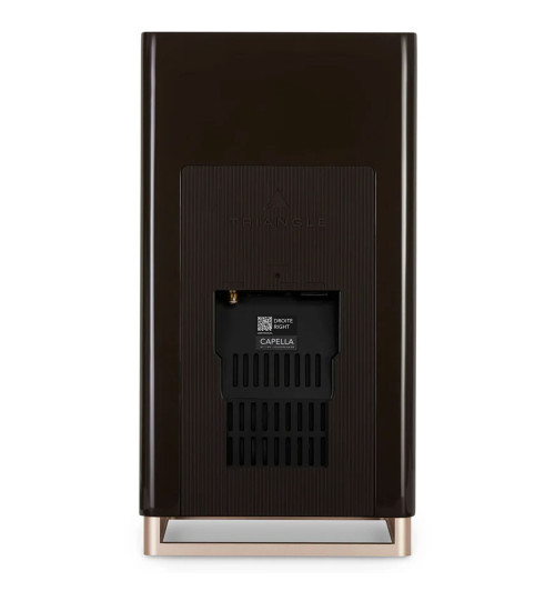 Triangle Capella - Aktywne kolumny podstawkowe z Bluetooth 5.0 aptX, Wi-Fi, WiSA + Stereo HUB