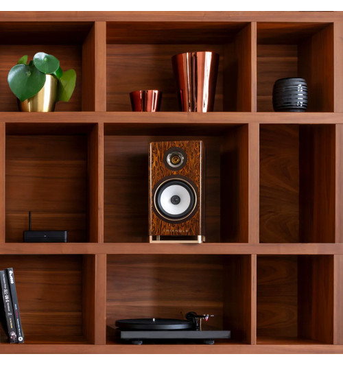 Triangle Capella - Aktywne kolumny podstawkowe z Bluetooth 5.0 aptX, Wi-Fi, WiSA + Stereo HUB