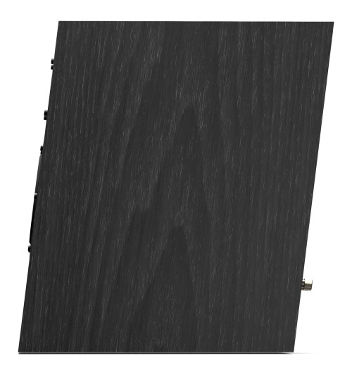 Pylon Audio Diamond Monitor 15 MKII - Kolumna podstawkowa