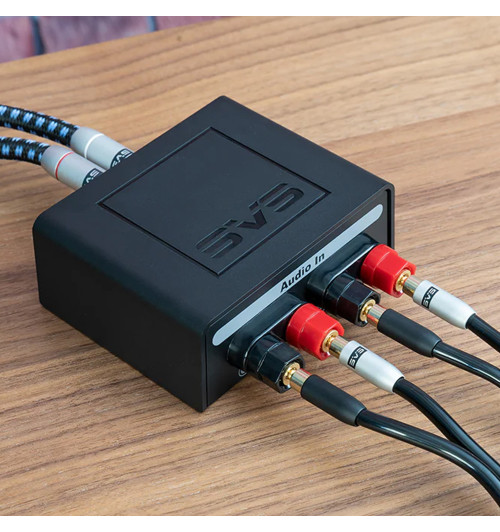 SVS Soundpath Speaker Level Subwoofer Adapter - Adapter subwooferowy RCA Stereo dla wyjść głośnikowych
