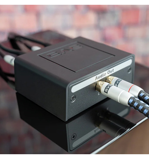 SVS Soundpath Speaker Level Subwoofer Adapter - Adapter subwooferowy RCA Stereo dla wyjść głośnikowych