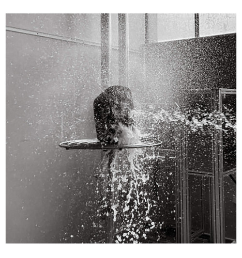 Monitor Climate 3G CL2S - głośniki naścienne (para)