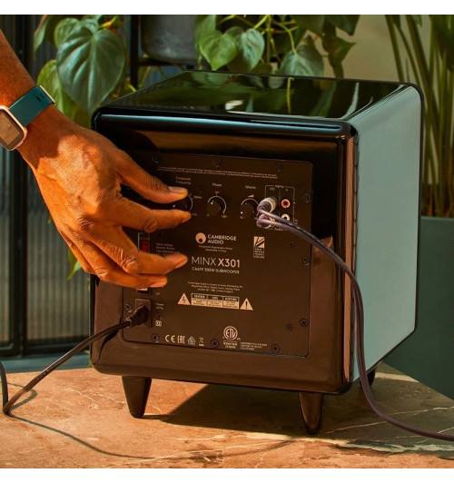 Cambridge Audio MINX X301 - Subwoofer aktywny 8"