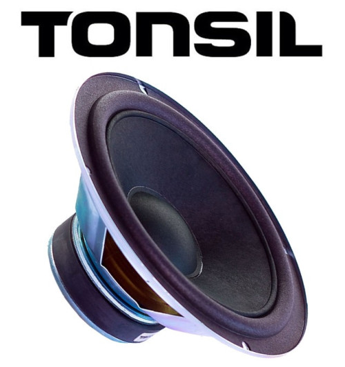 Głośnik niskotonowy TONSIL GDN 20/60/3 15 Ohm