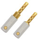 WireWorld Gold Banana Uni-Term with Sockets - Wymienne pozłacane wtyki głośnikowe bananowe z mocowaniem - 2 sztuki