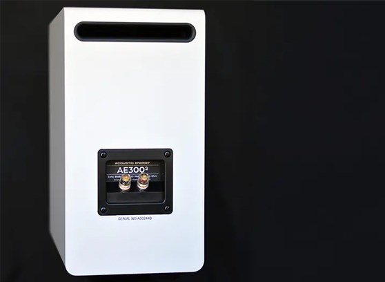 Acoustic Energy AE300.2 (AE300²) - cecha 2