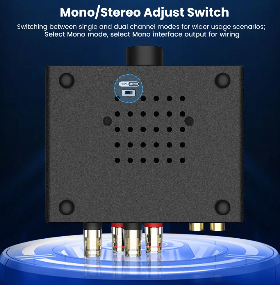 Wejścia i wyjścia wzmacniacza AIYIMA A07 MAX