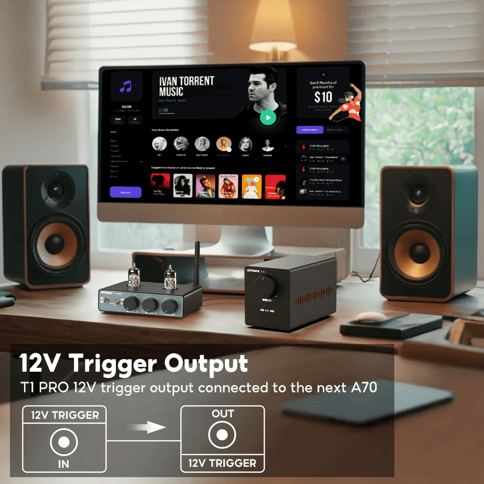 AIYIMA T1 PRO – kompaktowa i wygodna konstrukcja