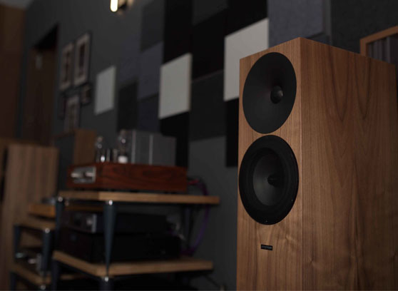 Amphion Argon3LS - cecha 4