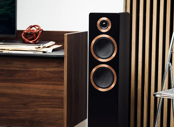 Argon Audio Forte A55 WiFi - cecha 1