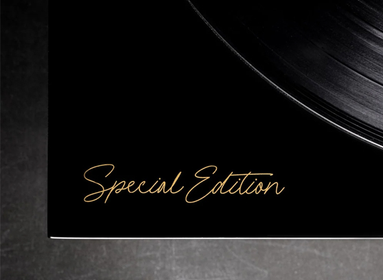 Argon Audio TT-4 Special Edition – cecha 5