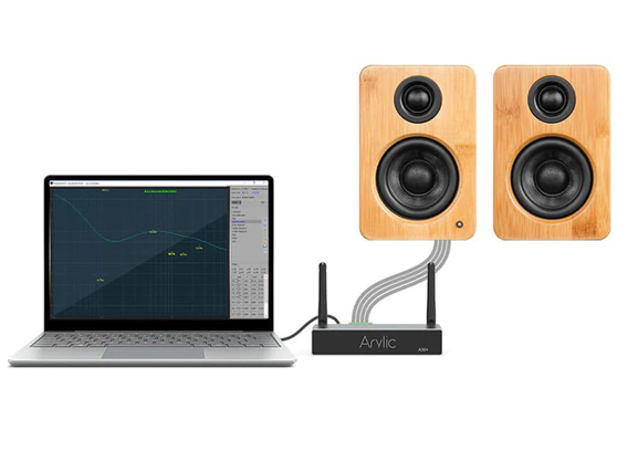 Arylic A30+ - cecha 1