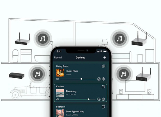 Arylic A30+ - cecha 2