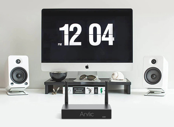 Arylic A30+ - cecha 3