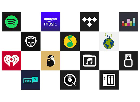 Arylic A30+ - cecha 4