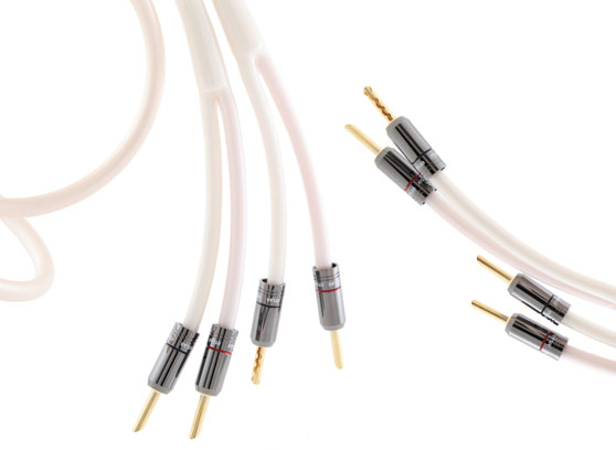 Atlas Equator 2.0 - cecha 1