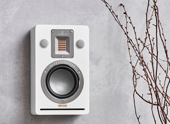 Audiovector QR Wall SE - cecha 3