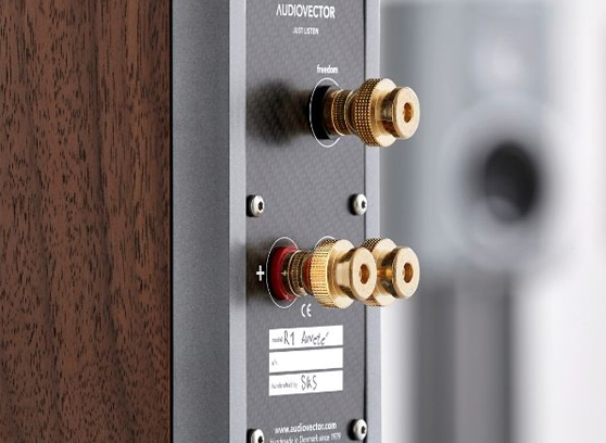 Audiovector R 1 Arreté - cecha 2