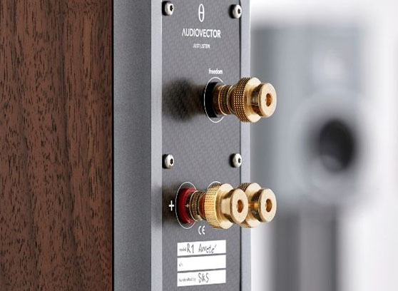 Audiovector R 1 Signature - cecha 2