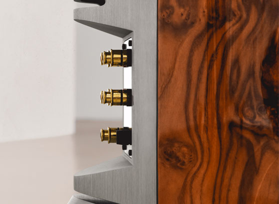 Audiovector R 10 Arreté - cecha 3