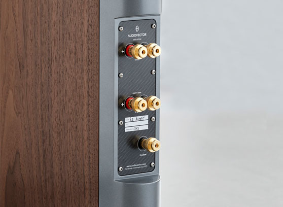 Audiovector R 3 Arreté - cecha 2