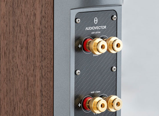 Audiovector R 3 Signature - cecha 2
