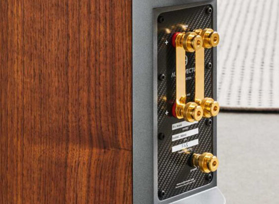 Audiovector R 6 Arreté - cecha 2
