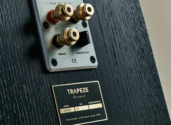 Audiovector Trapeze Ri - cecha 4