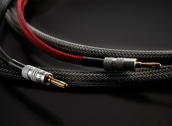 Audiovector Zero Signature - cecha 2