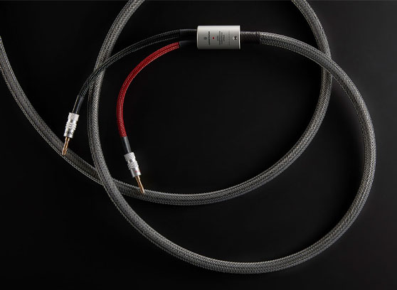Audiovector Zero Signature - cecha 4