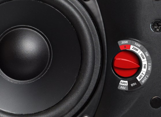 Biamp Desono CM20DTS - cecha 1