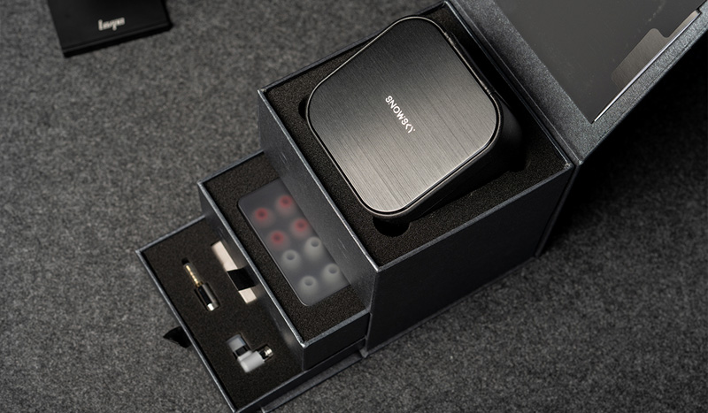 FiiO Snowsky OAK NANO