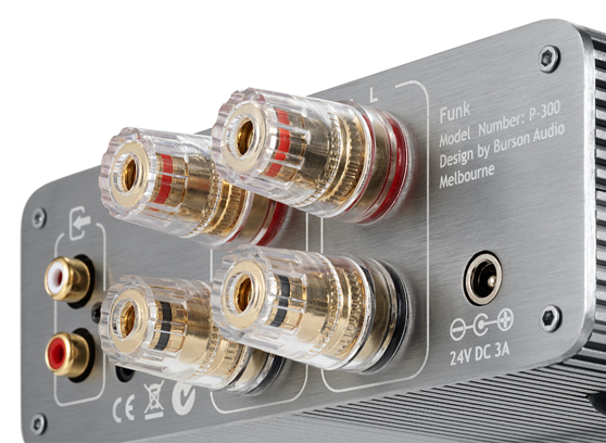 Burson Auio Funk Basic - cecha 1