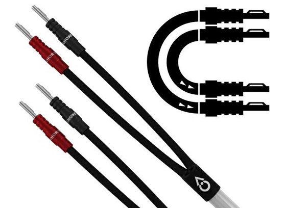 Chord Company ClearwayX - cecha 1