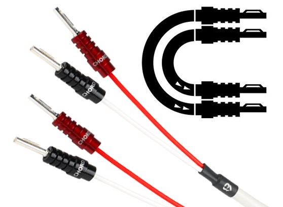 Chord Company OdysseyX - cecha 1