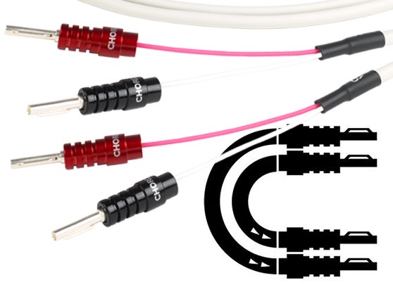 Chord Company RumourX - cecha 1