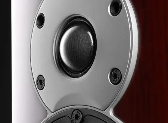 Dali Menuet - cecha 1