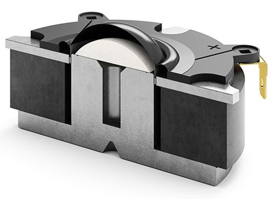 Dali Oberon 1 C - cecha 2