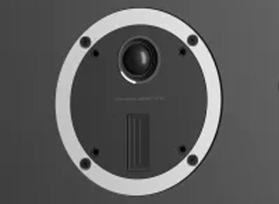 DALI PHANTOM S-80 - cecha 2