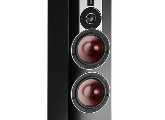 Dali Rubicon 6 - cecha 1