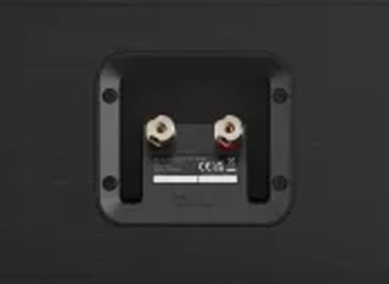 DALI Sonik Cinema - cecha 3