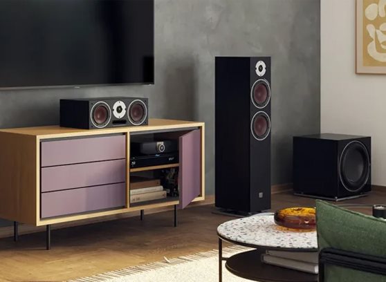 DALI WSR Wireless Subwoofer Receiver - cecha 4