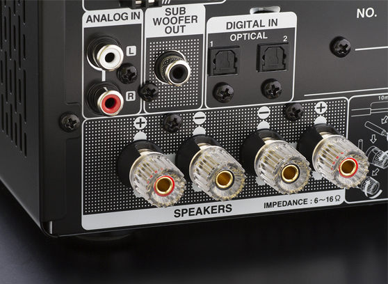 Denon D-M41 - cecha 4