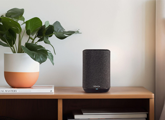 Denon Home 150 NV - cecha 2