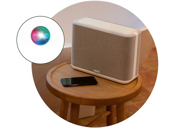 Denon Home 250 - cecha 4