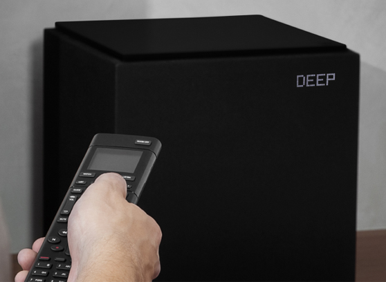 Definitive Technology Descent DN12 - cecha 3