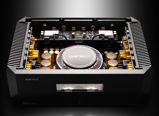 EverSolo AMP-F10 - cecha 3