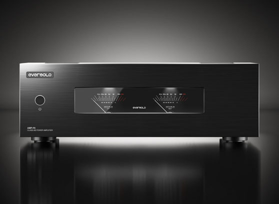 EverSolo AMP-F8 - cecha 5